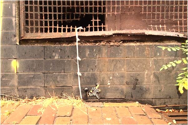 夢到了自己在和前女友做愛會有什麼預兆_周公解夢官網