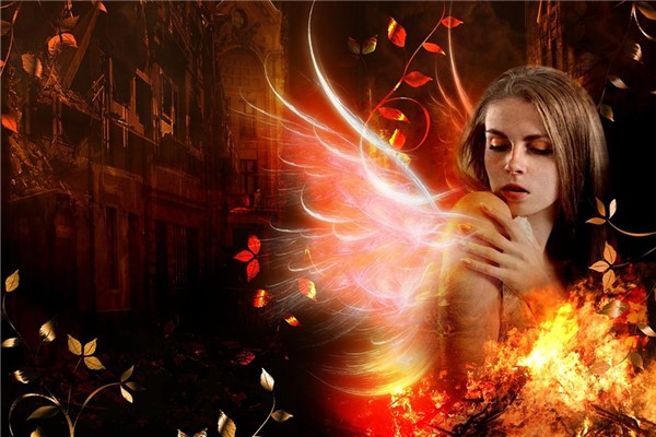 夢到自己變成鳳凰預兆了什麼嗎_周公解夢