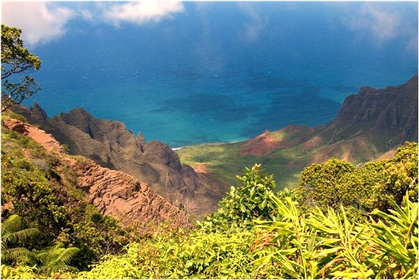 夢到了看見女性生殖器有什麼寓意嗎？_周公解夢官網