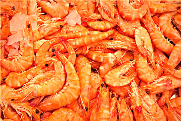 夢到了很多人走樓梯自己也在代表什麼_周公解夢官網