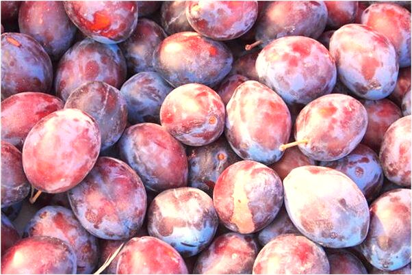 夢見抓到一隻手然後就醒了怎么樣_周公解夢官網