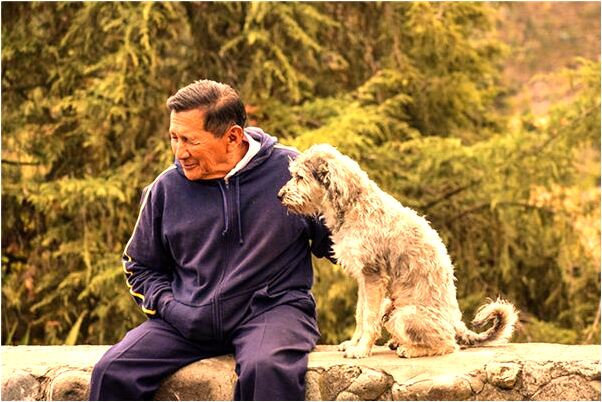 夢到了妻弟媳妹妹患肺結核是什麼預兆_周公解夢官網