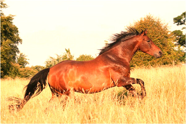 夢到到閨密家睡覺是什麼預兆_周公解夢官網