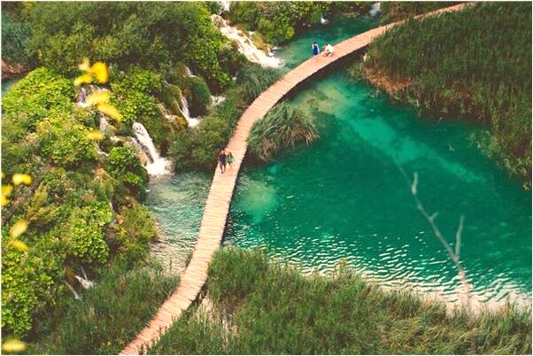 夢到我將被我同事吃掉預示什麼_周公解夢官網