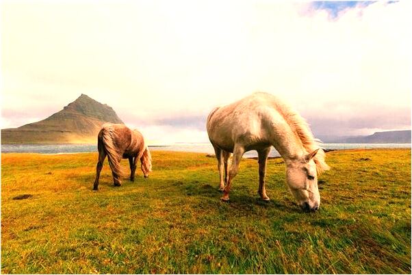 夢到了被關心你的人批評了怎么樣_周公解夢官網