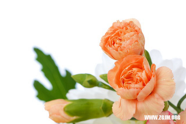 夢見陌生男人追求我_周公解夢夢到陌生男人追求我是什麼意思_做夢夢見陌生男人追求我好不好_周公解夢官網