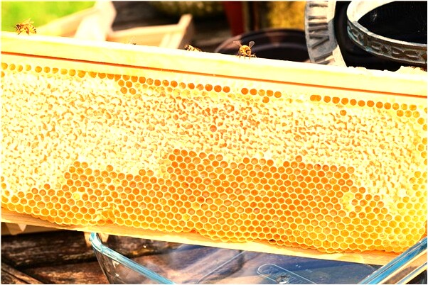 夢到在廁所里被人濺一身污水是什麼徵兆_周公解夢官網