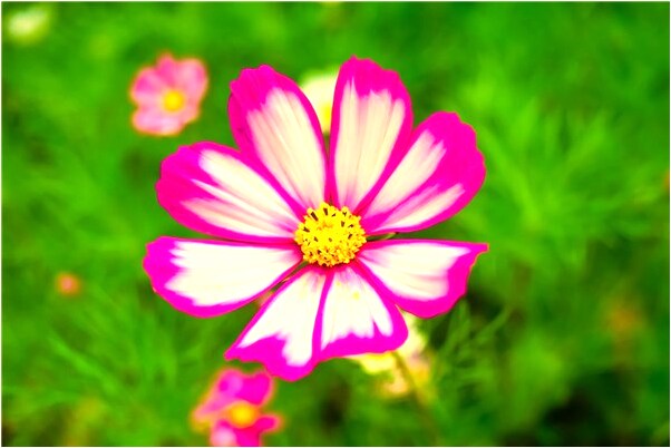 夢到了玻璃碎了腳踩傷意味什麼_周公解夢官網