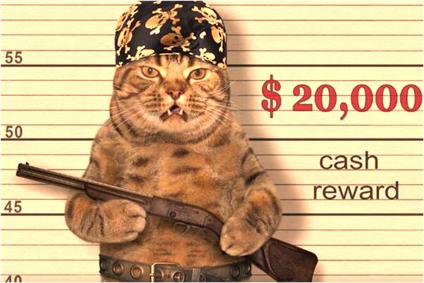 夢見被人追殺不停是不是好的徵兆呢_周公解夢官網