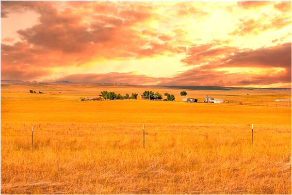 夢見死人血流成河有什麼寓意嗎？_周公解夢官網