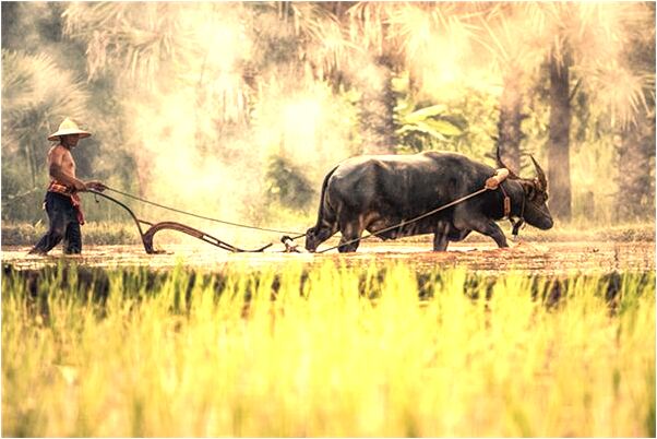 夢到了自己滿身的頭髮渣什麼預兆_周公解夢官網