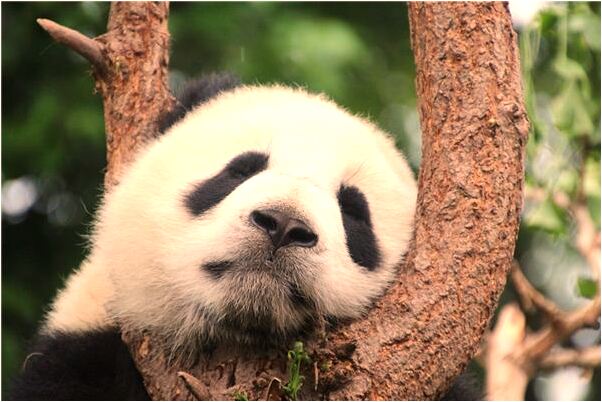 夢到了衣服不相稱預兆了什麼嗎_周公解夢官網