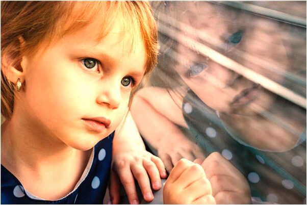 夢到了松樹開白花有何寓意_周公解夢官網