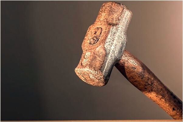 夢到了種一棵小樹苗意味什麼_周公解夢官網