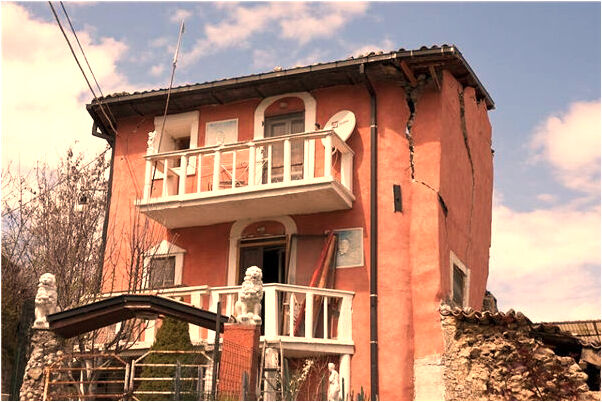 夢見啃樹皮預示了什麼_周公解夢官網