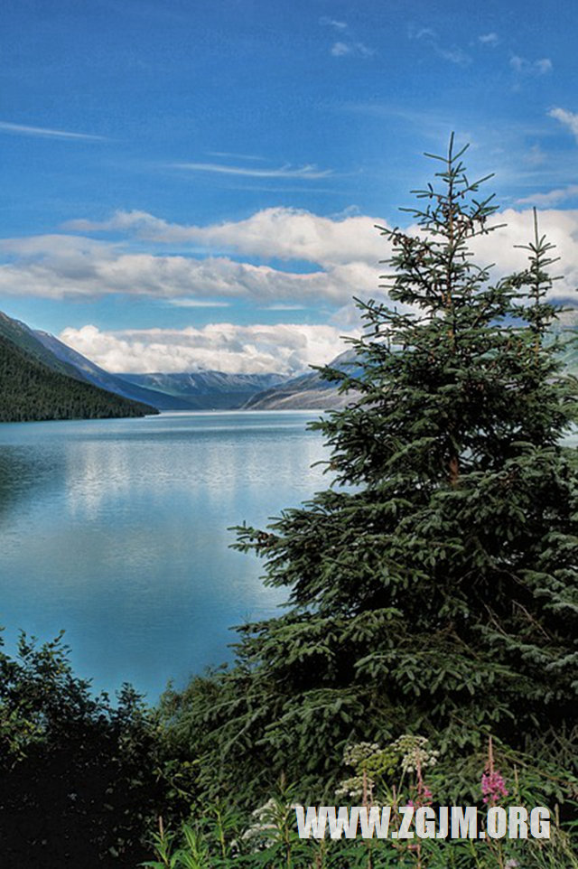 夢見看到自己手上流血_周公解夢夢到看到自己手上流血是什麼意思_做夢夢見看到自己手上流血好不好_周公解夢官網