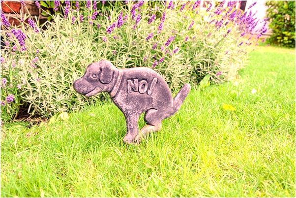 夢到了坐在大衣櫃有什麼徵兆_周公解夢官網