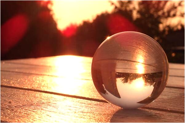 夢到死狗頭會怎么樣_周公解夢官網