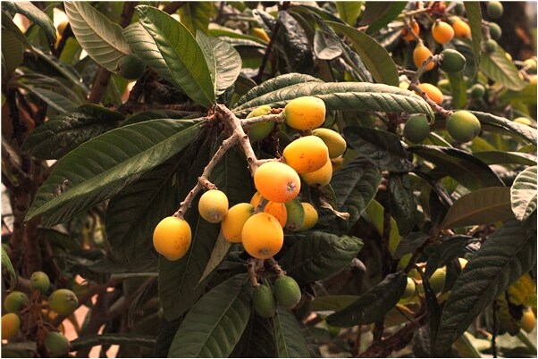 夢見情人對方不理他了是什麼徵兆_周公解夢官網