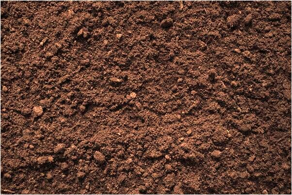 夢到了地上大雪很厚很冷用雪洗手意味什麼_周公解夢官網