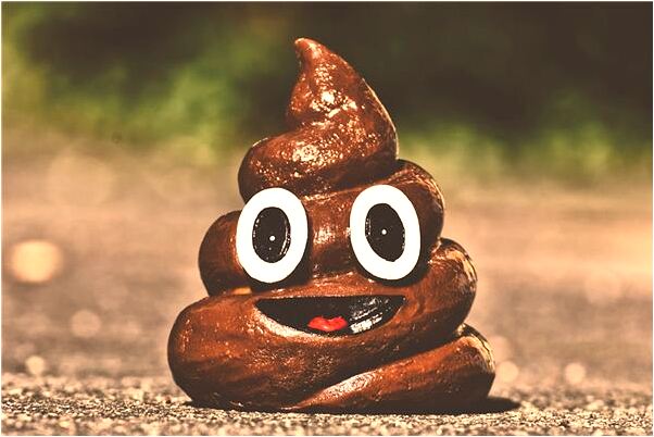 夢到了已去世的奶奶給我香菜有什麼含義_周公解夢官網