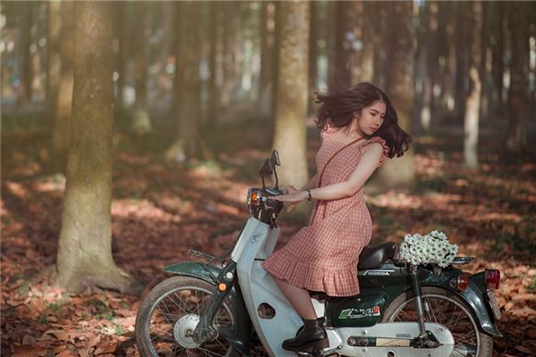 91年屬羊的哪個時辰最好_十二生肖