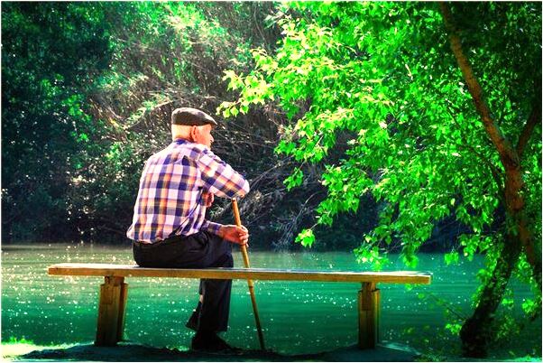 夢到黃牛游泳是什麼徵兆_周公解夢官網