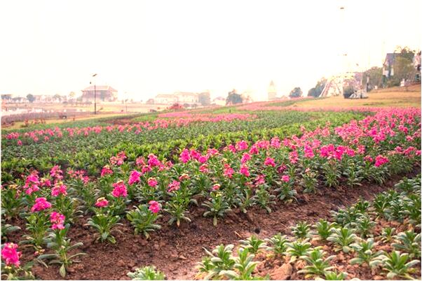 夢到了被人大卸八塊是吉兆嗎?_周公解夢官網