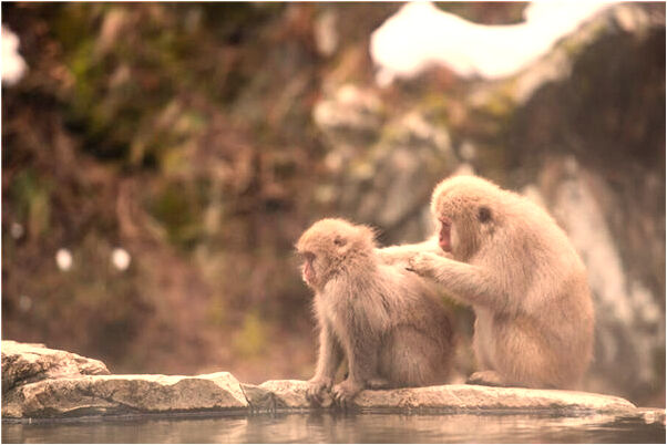 夢到了上了死去人的車的預兆_周公解夢官網