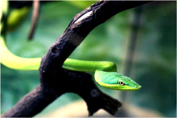 夢到了洗內衣的盆壞兩半預示什麼_周公解夢官網