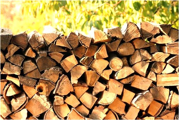 夢見很多還沒摘的西瓜非常大有什麼說法_周公解夢官網