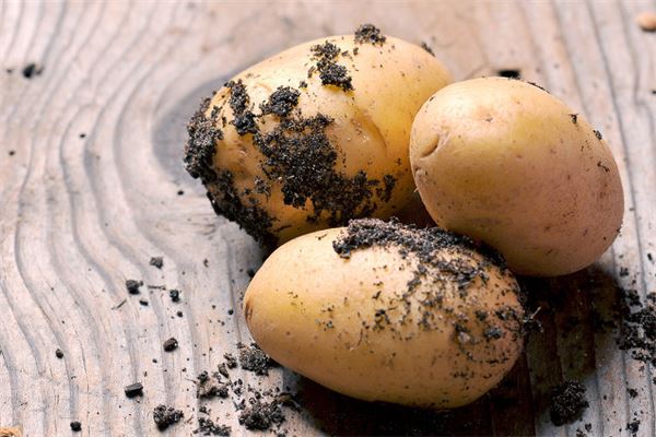 夢見種土豆什麼意思_周公解夢