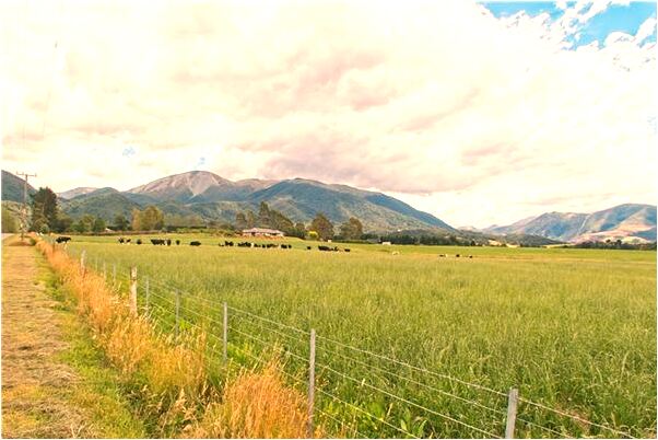 夢到自己撞到鬼了意味著什麼_周公解夢官網