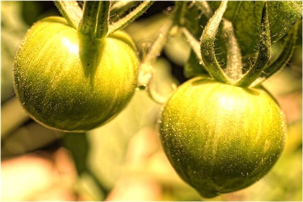 夢見自己從地道通過什麼寓意_周公解夢官網