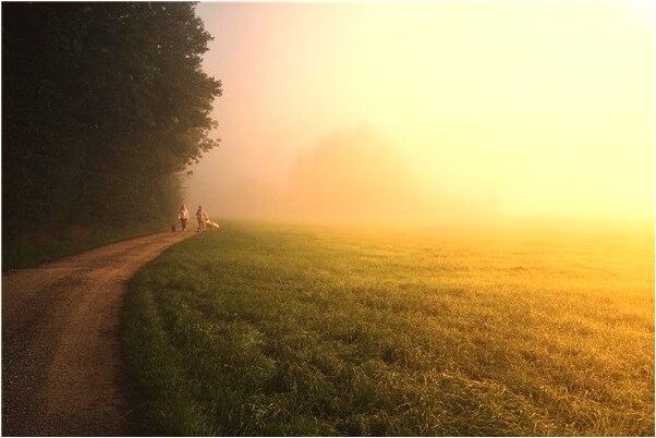 夢到小孩變成了小狗會是什麼預兆_周公解夢官網