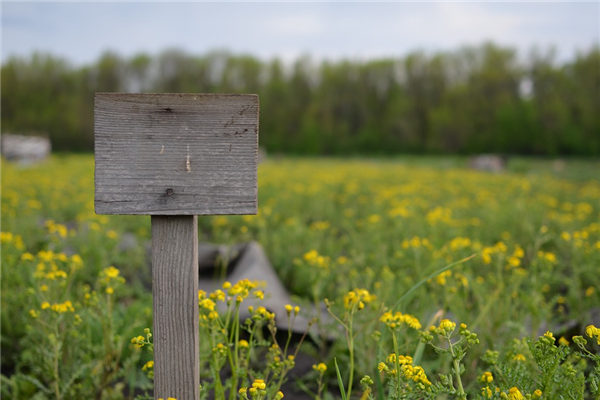 夢到了靈牌有什麼說法_周公解夢