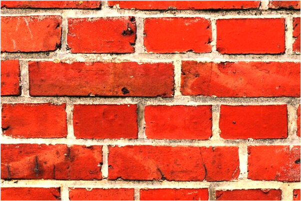 夢見老婆被老虎吃了預示什麼_周公解夢官網