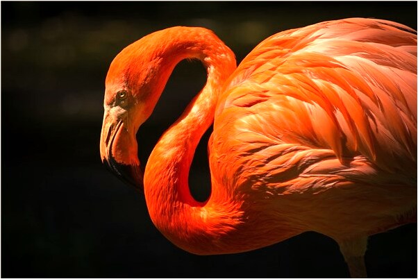 夢到了談生生意有什麼意思嗎_周公解夢官網