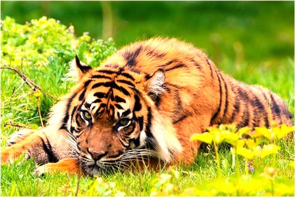 夢到門梁塌了是什麼意思_周公解夢官網