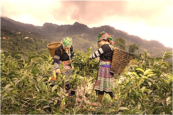 夢到別人自殺流血代表著什麼？_周公解夢官網