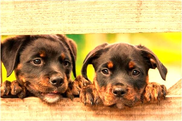 夢見大風帶著泥沙刮到身上什麼寓意_周公解夢官網