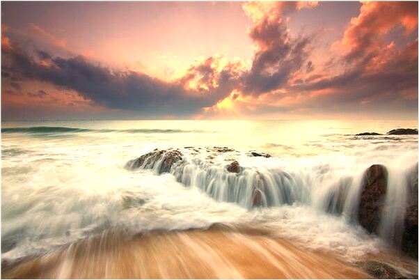 夢到了狗咬我腳代表什麼_周公解夢官網