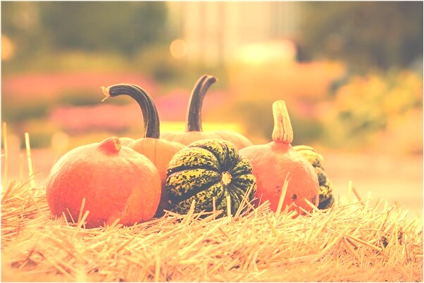 夢見睡覺出好多汗會怎么樣_周公解夢官網