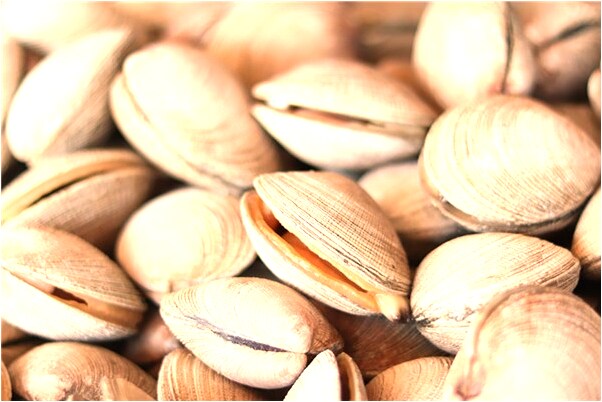 夢到了和兩個男人一起睡覺是什麼預兆？_周公解夢官網