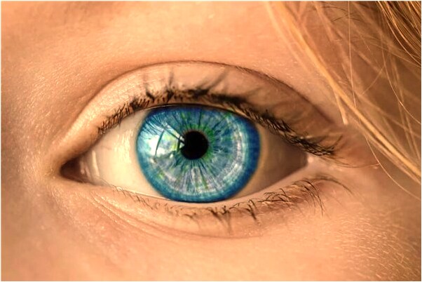 夢到了輸得身無分文怎么回事_周公解夢官網