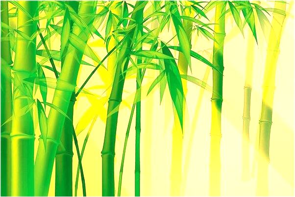 夢到了女人上半身裸體會有什麼預兆_周公解夢官網