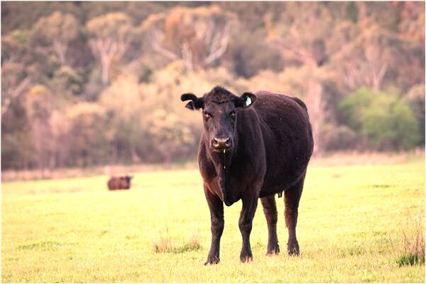 夢到了把別人小孩打倒在地出血了是什麼預兆_周公解夢官網