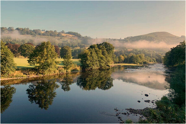 夢到用試紙測結婚懷孕了是什麼預兆？_周公解夢官網