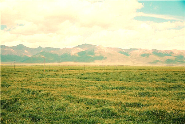 夢到了一家人除爐灰預示了什麼_周公解夢官網