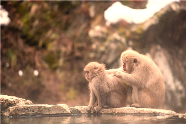 夢見我把家裡的碗丟了是不是好的徵兆呢_周公解夢官網